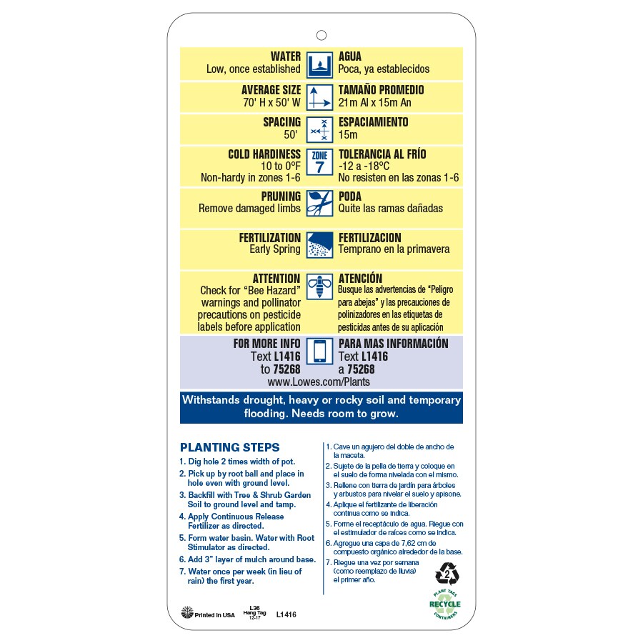  NURSERY trees - View #4