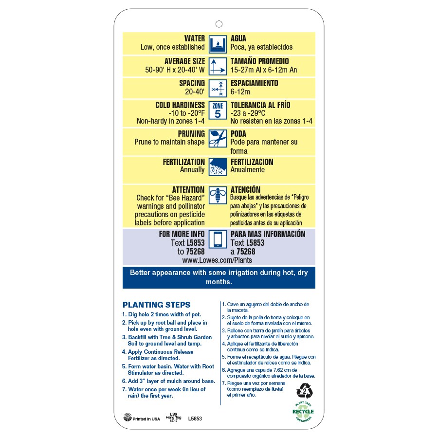  NURSERY trees - View #4