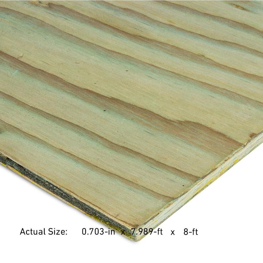 severe weather pine pressure treated plywood common: 1/2