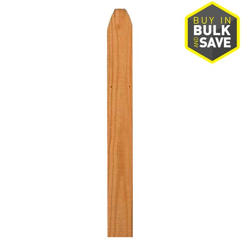 Severe Weather 1/2in x 4in W x 6ft H Pressure Treated Southern