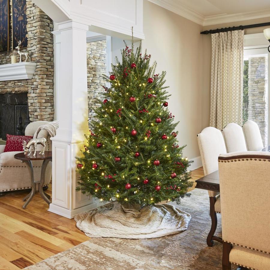 6-7-ft Balsam Fir Real Christmas Tree in the Fresh Christmas Trees ...