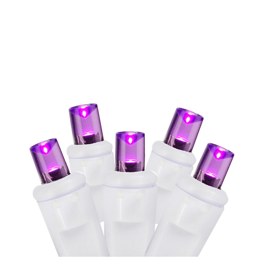 Shop Christmas Central 70Count Purple Mini LED Plugin Christmas