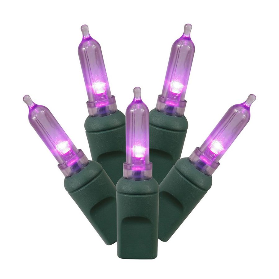 Shop Vickerman 50-Count Constant Purple LED Plug-In Indoor/Outdoor Christmas String Lights at ...