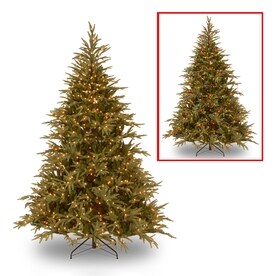 National Tree Company 9 Ft Pre Lit Frasier Fir Artificial Christmas With 1500 National Tree Company 9 Ft Pre Lit Frasier Fir Artificial Christmas With 1500