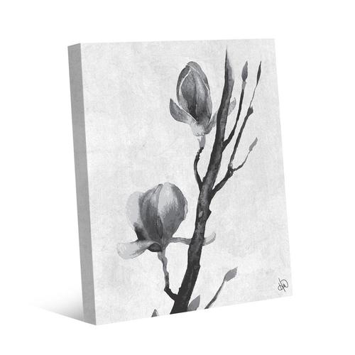 Creative Gallery Tulip Tree Flowers In Black And White 16 X 20