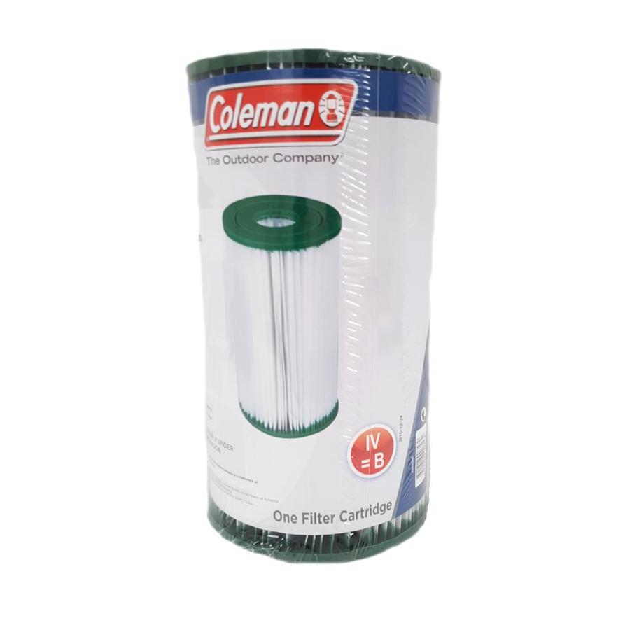 coleman 18ft pool filter