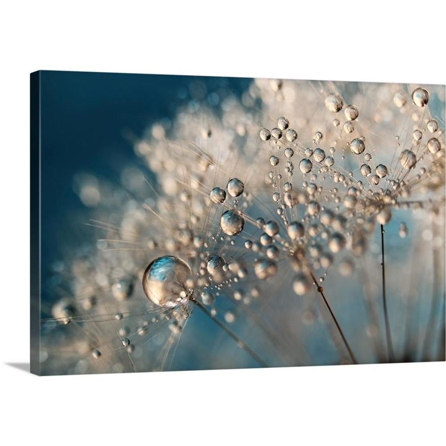 GreatBigCanvas GreatBigCanvas Frameless 20-in H x 30-in W Abstract ...