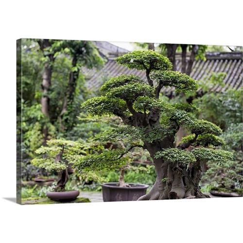 GreatBigCanvas Bonsai Trees by Philippe Hugon at Lowes.com