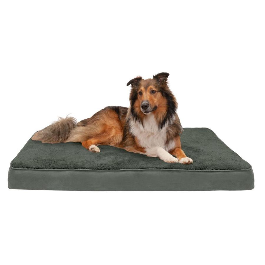 jumbo dog bed