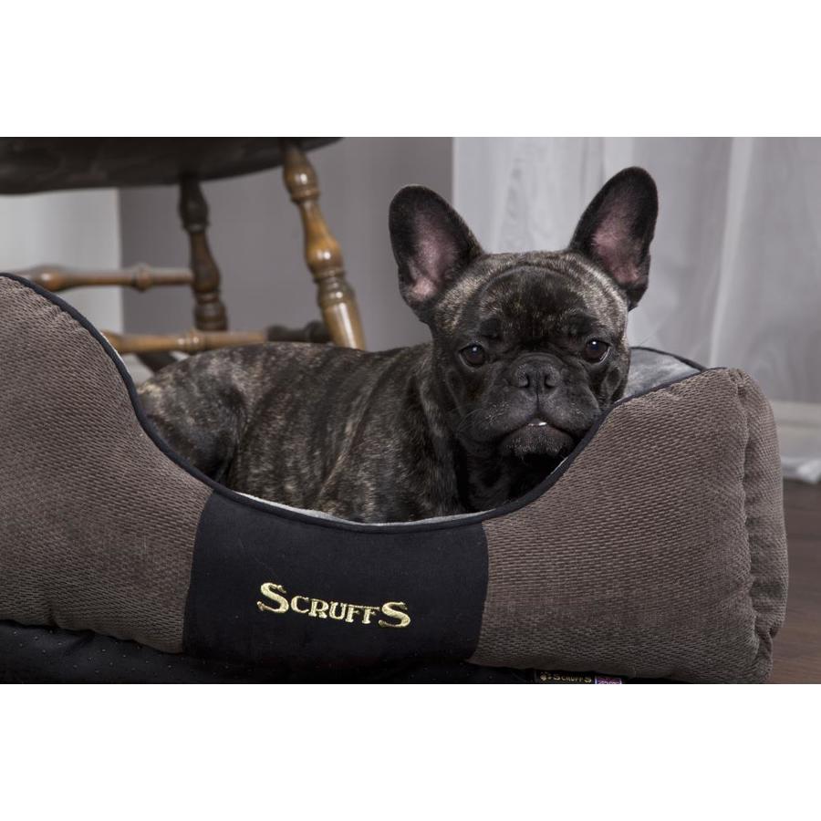 scruffs dog bed xl