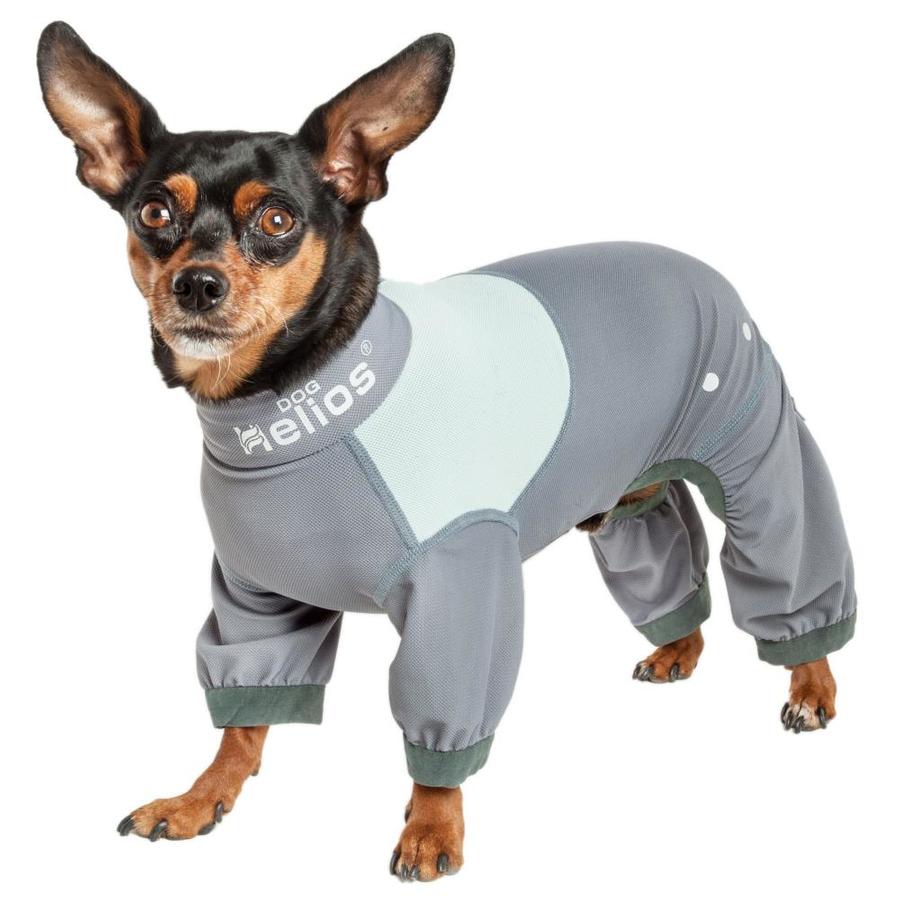 spandex dog suit