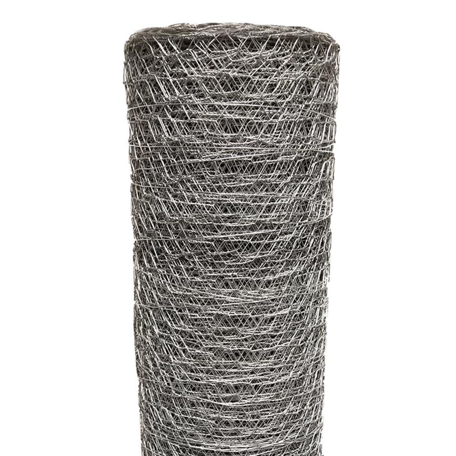 Acorn International Poultry netting 50ft x 2ft Silver