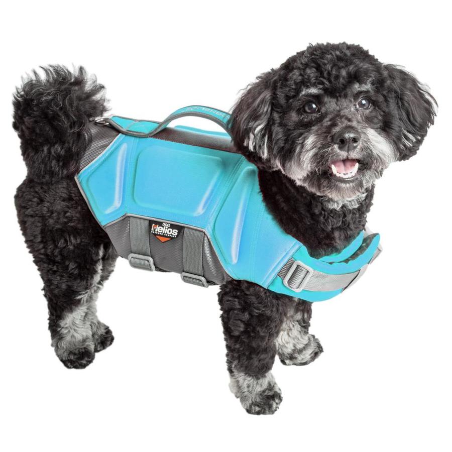 light blue dog harness