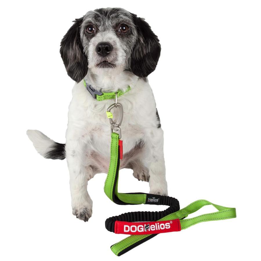 Dog Helios Dog Helios Neo-indestructible Easy-Tension Sporty Embroidered Thick Durable Pet Dog Leash and Collar