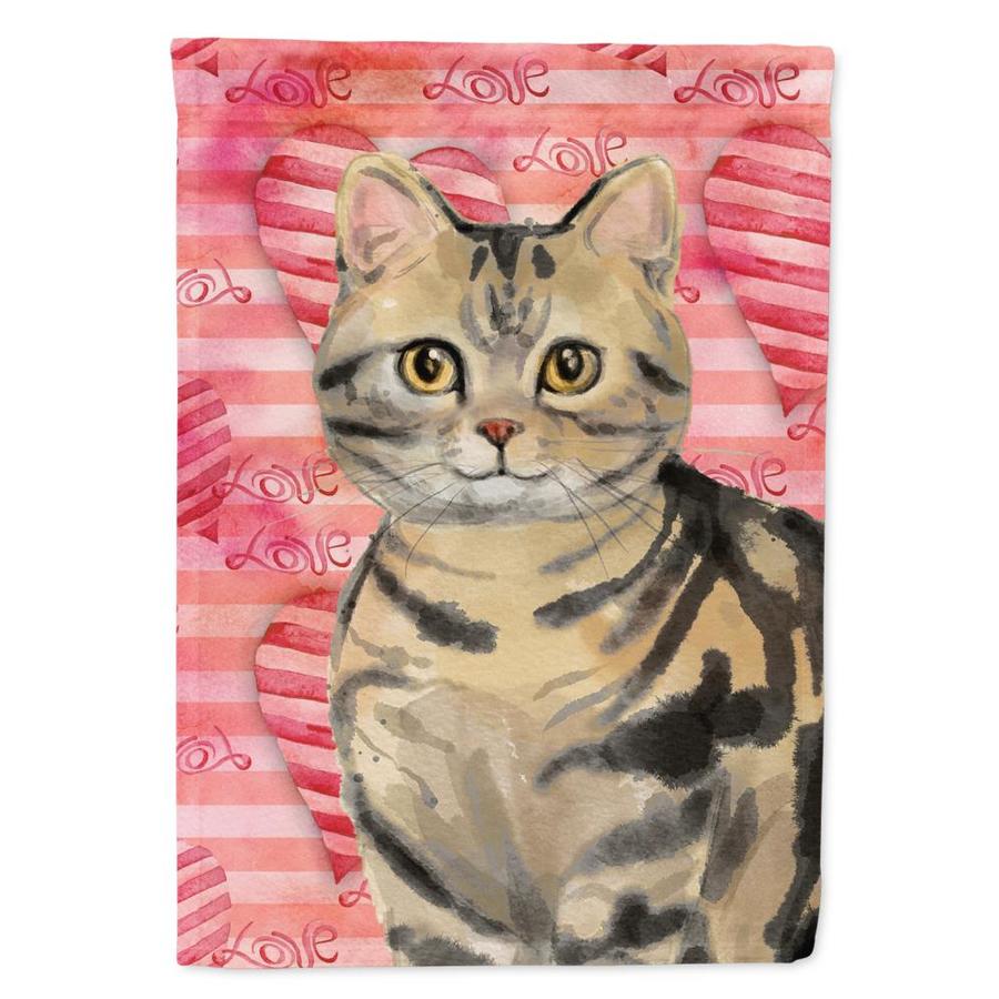 Caroline S Treasures American Shorthair Brown Tabby Cat Love Flag