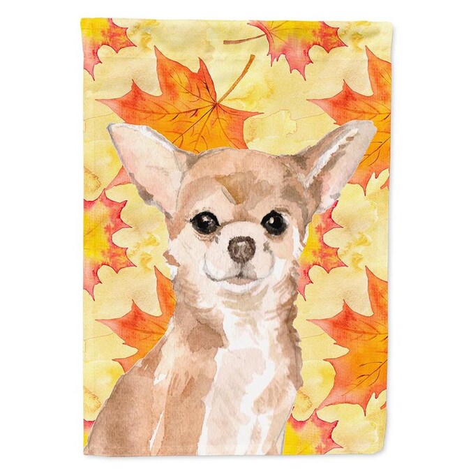 Caroline's Treasures Chihuahua Fall Flag Canvas House Size in the ...