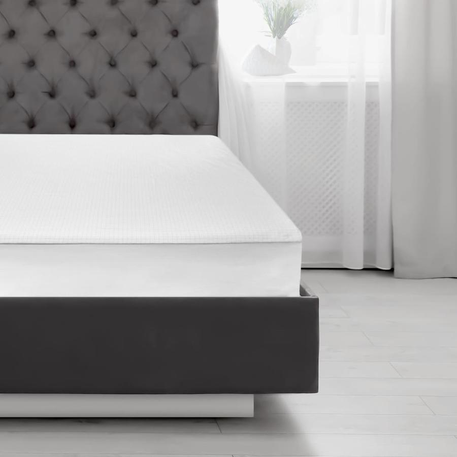 cotton bed mattress near me