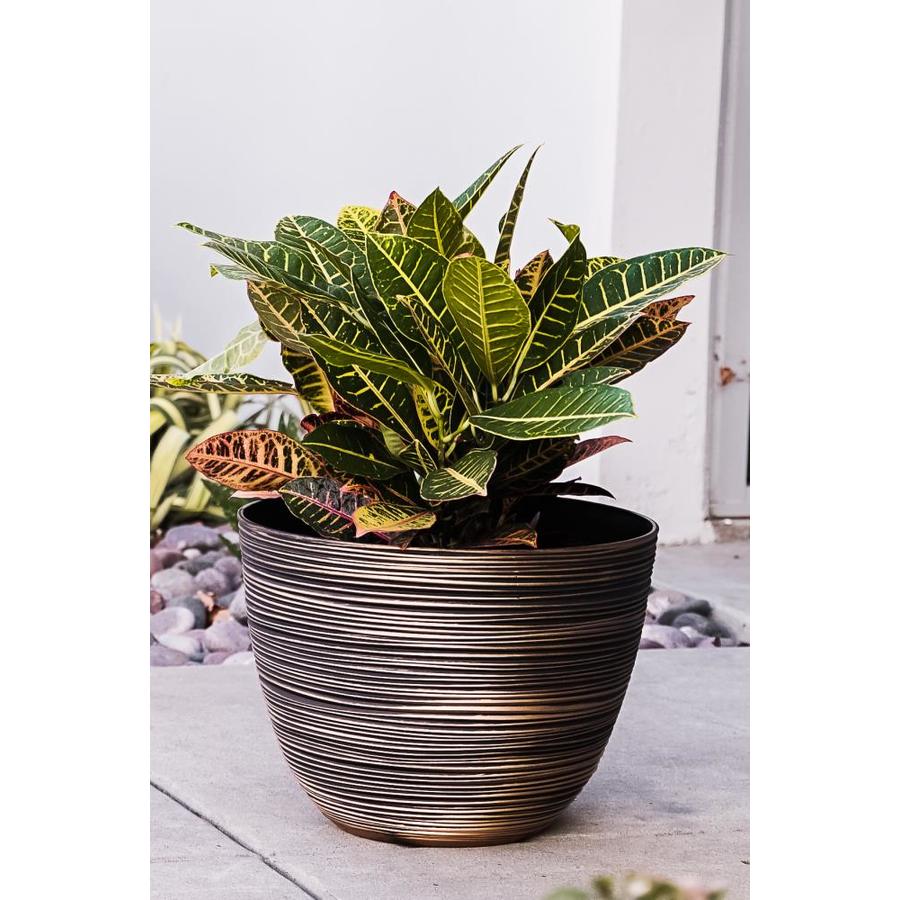 XBrand 3-Pack 15.75-in W x 11.81-in H Bronze Plastic at Lowes.com