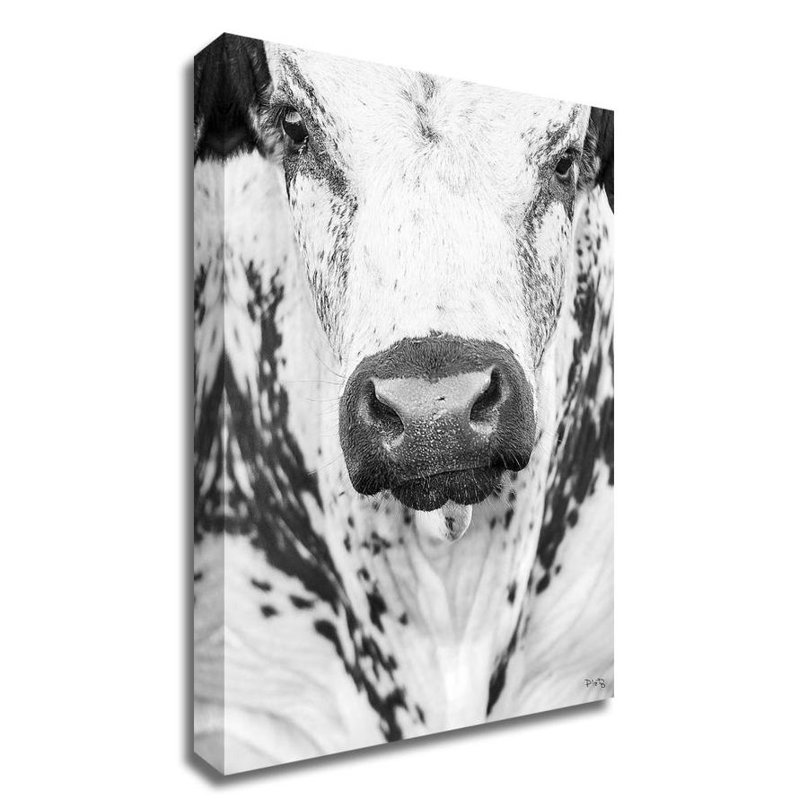 CoW PRiNTS BoX CANVAS CoW ART LARGE XL of Original Painting /'THe NoSeY CoWS /'