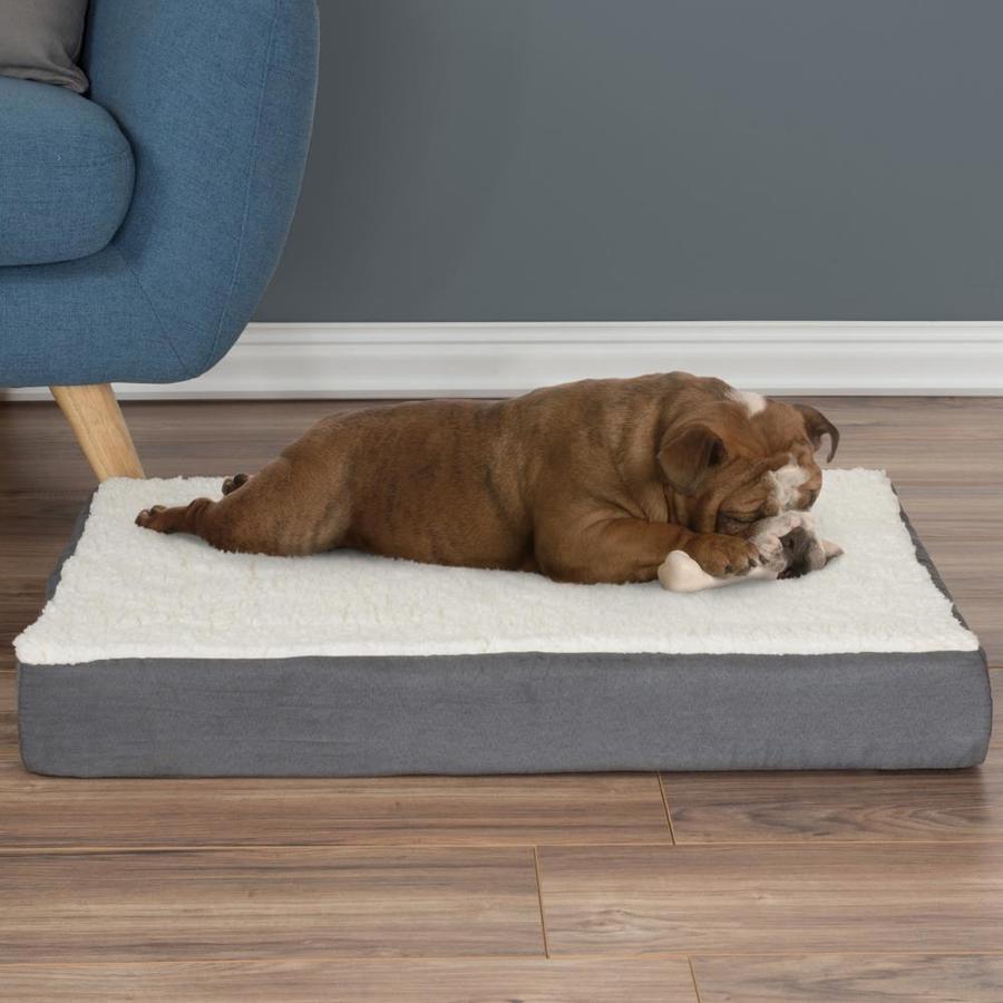 dog bed with top cover