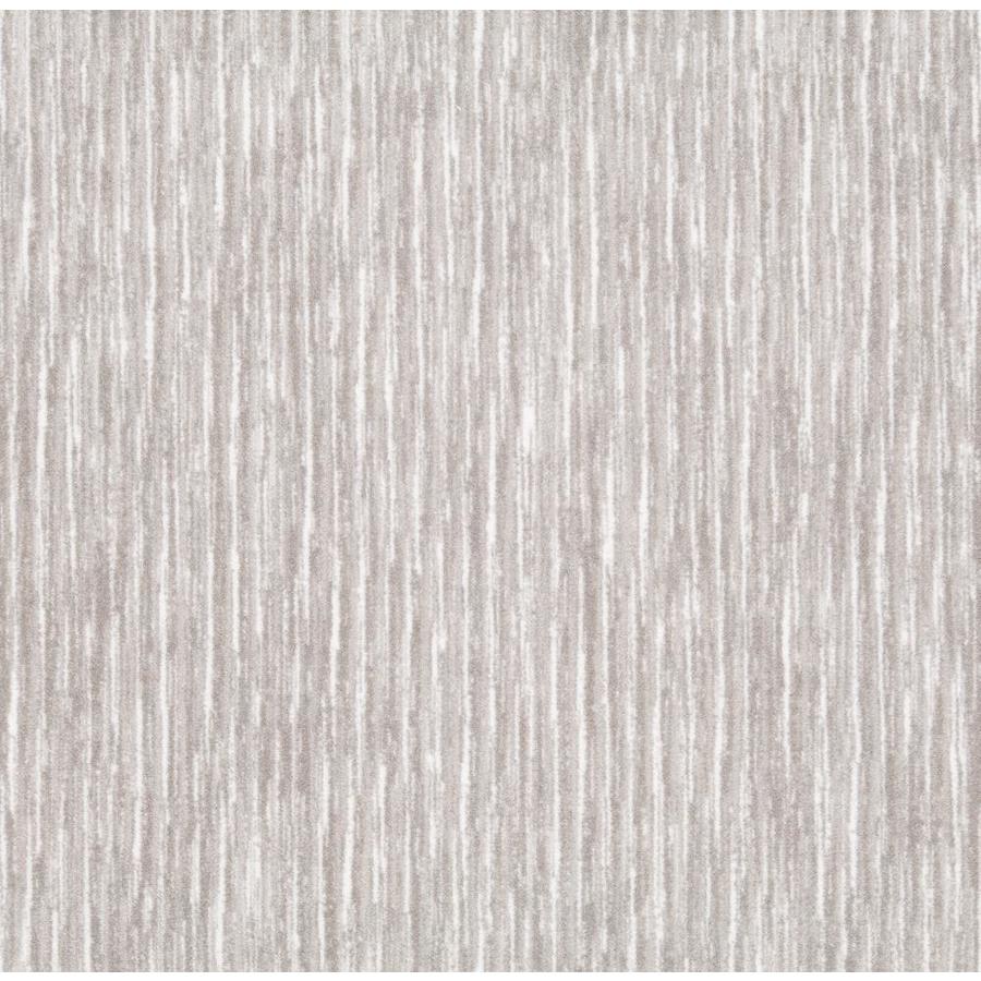 Joy Carpets Home & Office Impressions Dove Textured Carpet (Indoor) in