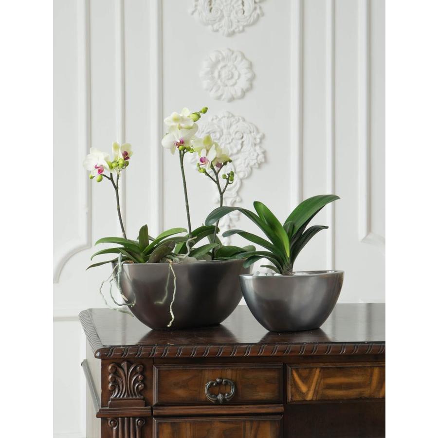 Vasesource GALENA7SVS Planter-Window-Box - View #5