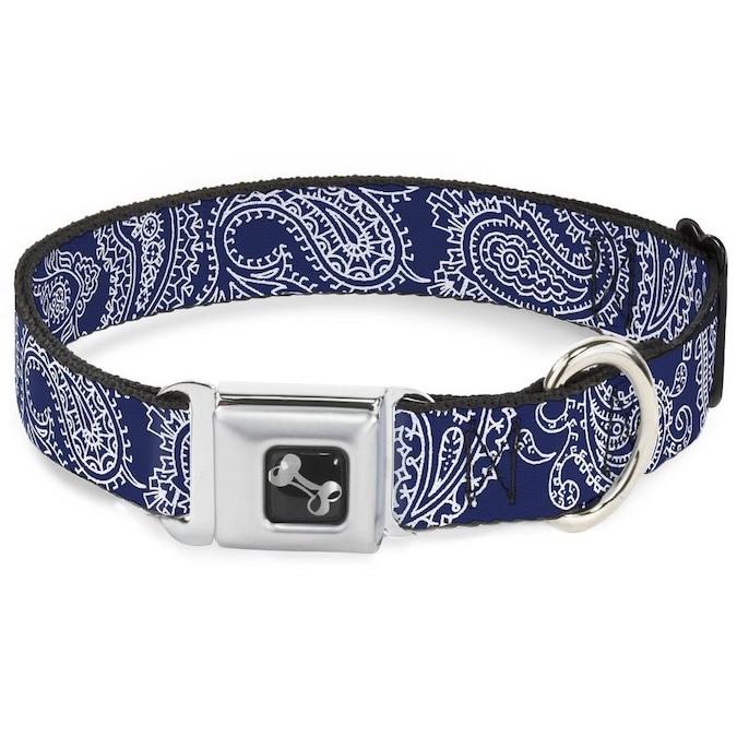 Buckle-Down Matte Silver Dog Collar, Large in the Pet Collars ...