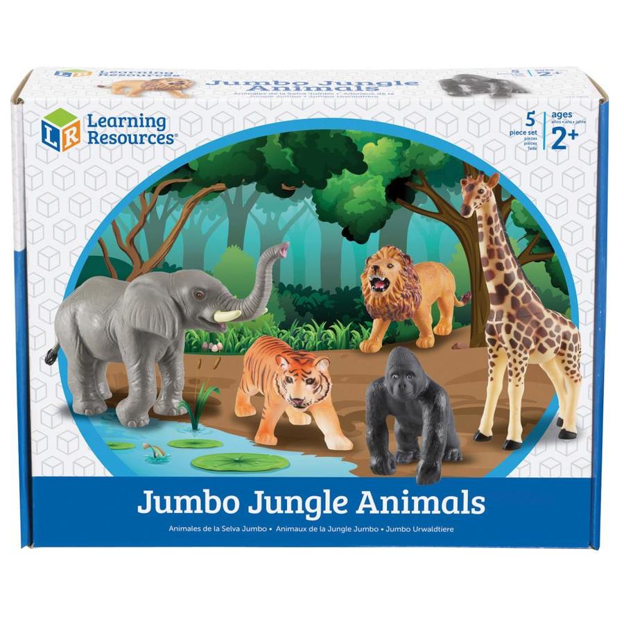 Learning Resources LER0693 