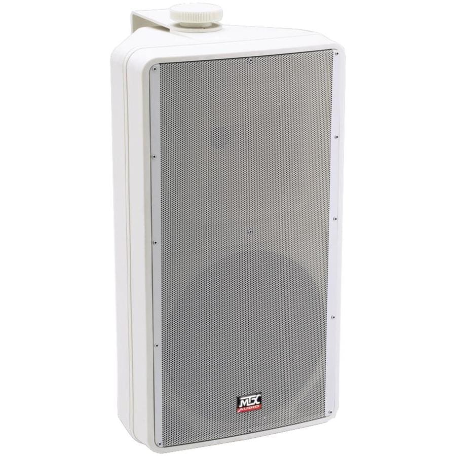 mtx center channel speaker