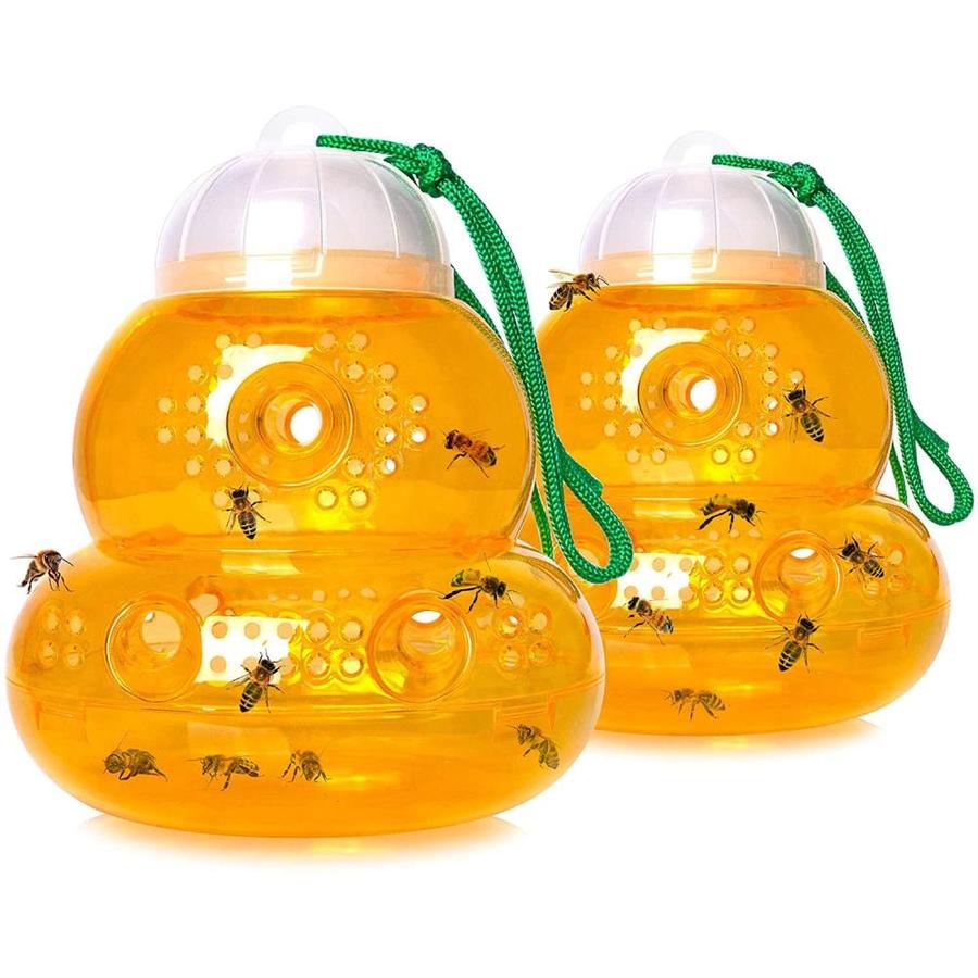 lowes fly trap