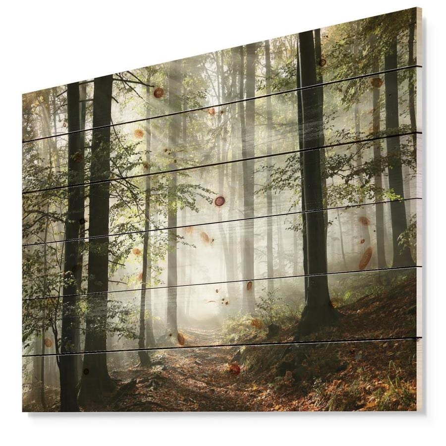 Designart Designart Light In Dense Fall Forest With Fog Landscape Print On Natural Pine Wood In The Wall Art Department At Lowes Com