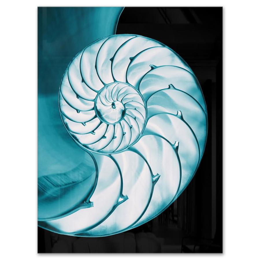 Designart Chambered Nautilus Shell Abstract Metal Wall Art In The Wall Art Department At Lowes Com