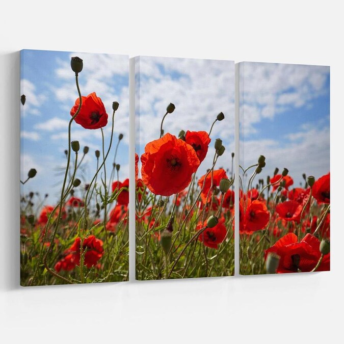 Designart Bright Red Poppy Flowers Photo- Flower Artwork on Canvas in