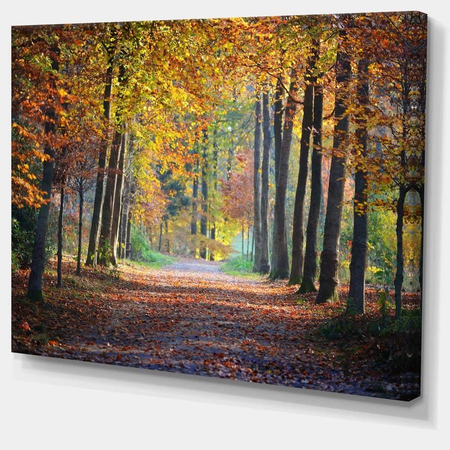 Designart Wide Pathway in Yellow Fall Forest- Landscape Photography ...