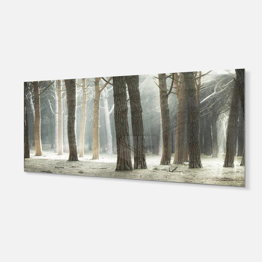 Designart Maritime Pine Tree Forest with Rays- Oversized Forest Metal ...