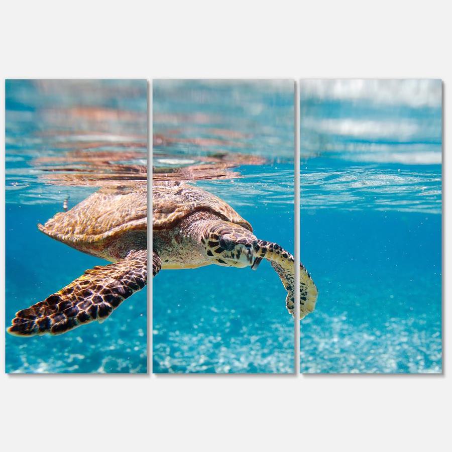 Designart Large Hawksbill Sea Turtle- Multipanel Abstract Metal Wall ...