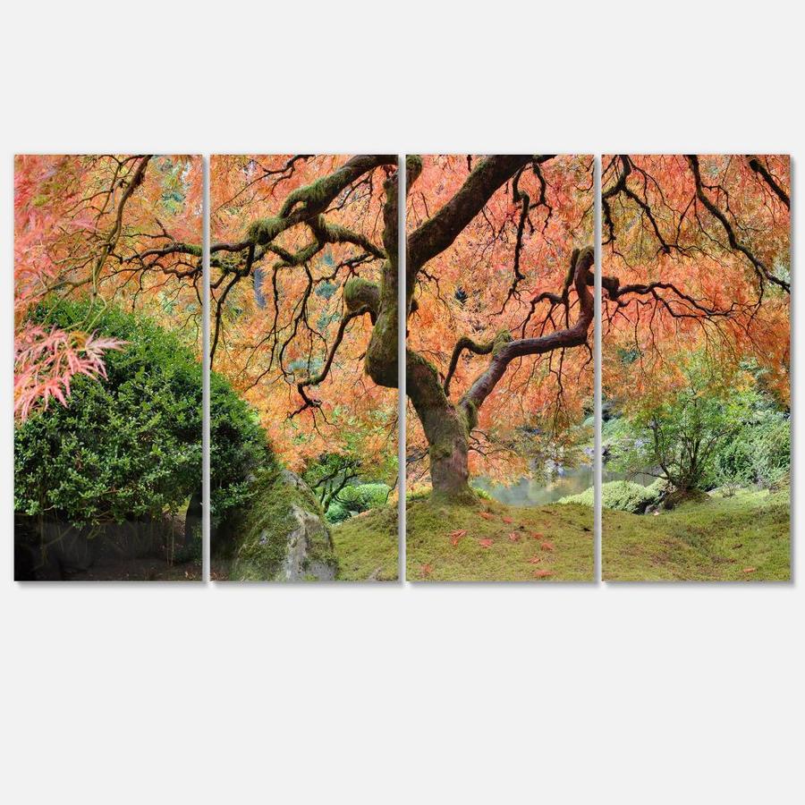 Designart Old Japanese Maple Tree Multipanel Landscape Photography