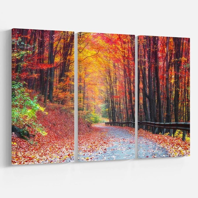 Designart Road in Beautiful Autumn Forest- Modern Forest Canvas Art in ...
