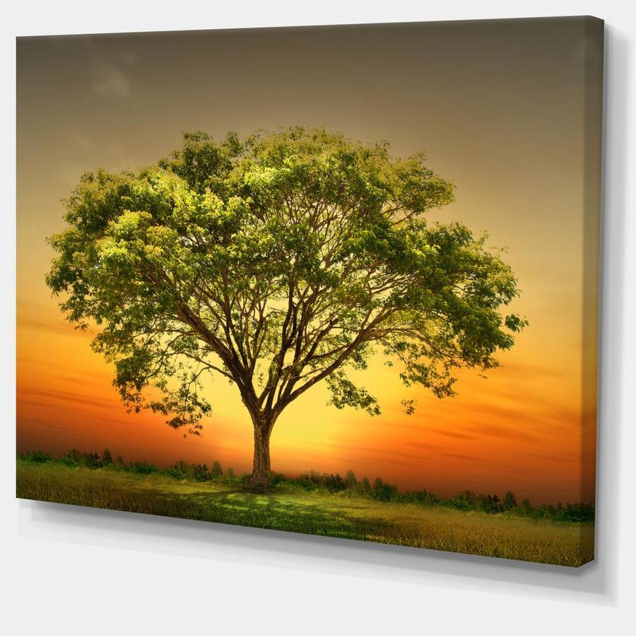 Designart Green Tree against Setting Sun- Trees Canvas Art Print in the ...