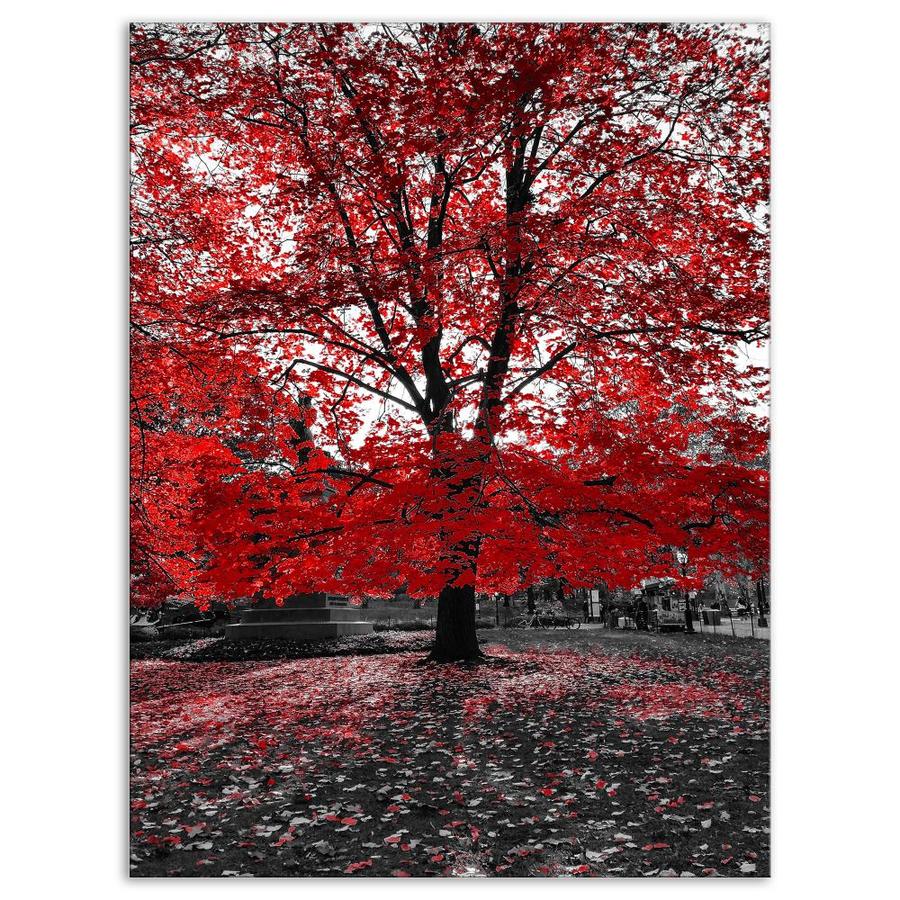 Designart-Red-Tree-in-Central-Park--Floral-Landscapes-...