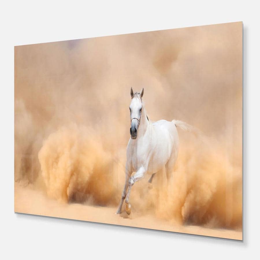 Designart Arabian Horse in Desert Storm- Photography Metal Wall Art in ...