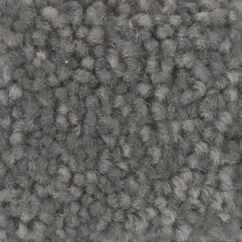 STAINMASTER Essentials Intuition III 12ft Spruce Textured Carpet