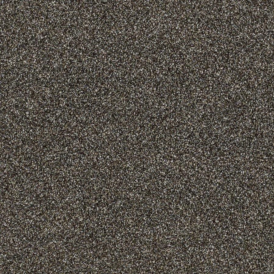 STAINMASTER PetProtect Mineral Bay I 15-ft Textured Dockside Interior Carpet