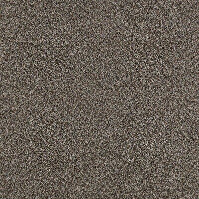 Petprotect Foundry Ii 15 Ft Textured Interior Carpet Petprotect Foundry Ii 15 Ft Textured Interior Carpet
