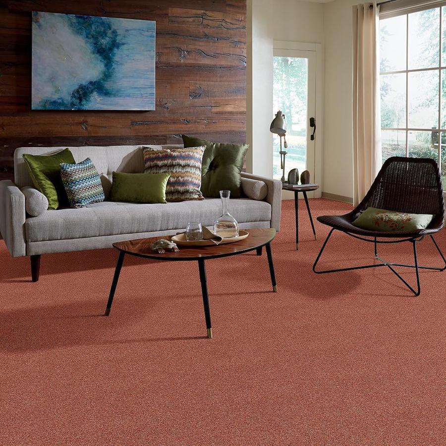 STAINMASTER 7L70100600  - View #6