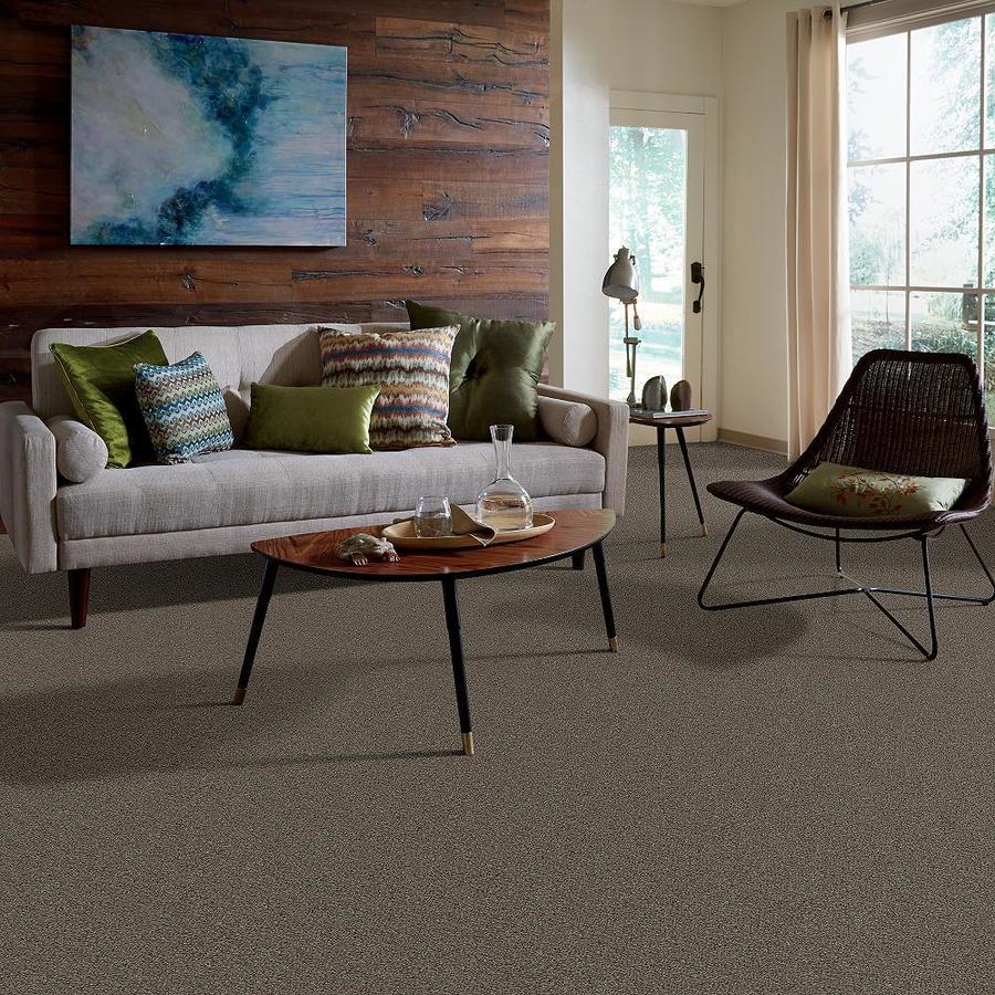 STAINMASTER 7L70700500  - View #6