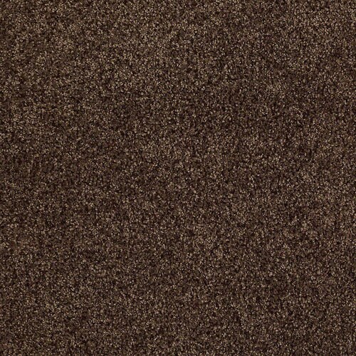 STAINMASTER Signature Advanced Beauty I 15-ft Textured ...