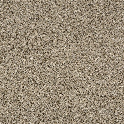 Shaw Wide Width Statuette I 15 Ft Sea Shell Textured Shaw Wide Width Statuette I 15 Ft Sea Shell Textured