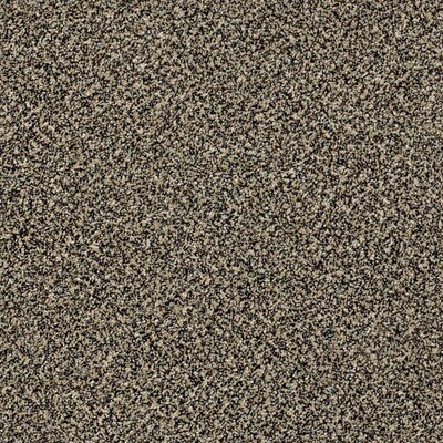 Shaw Wide Width Statuette I 15 Ft In Top Textured Shaw Wide Width Statuette I 15 Ft In Top Textured
