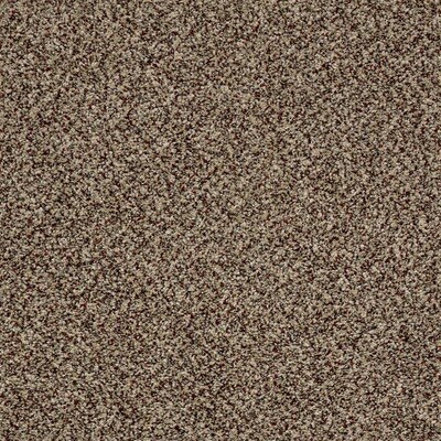 Shaw Wide Width Statuette Iii 15ft Worn Path 15 Ft Textured Shaw Wide Width Statuette Iii 15ft Worn Path 15 Ft Textured